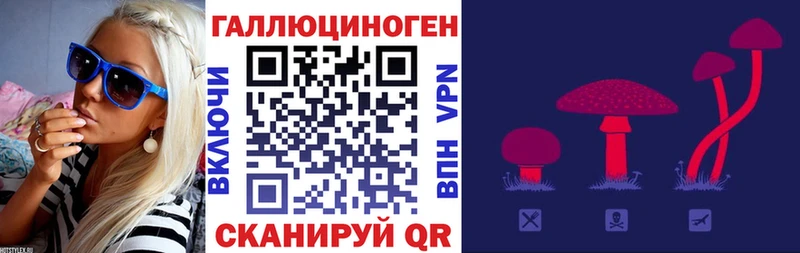 Купить где  Биробиджан  Галлюциногенные грибы прущие грибы 